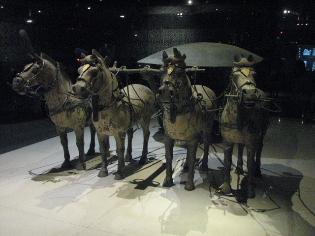IMG_0780.JPG