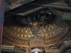 IMG_0516.JPG