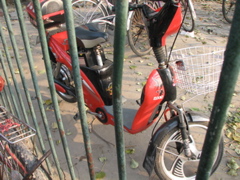 IMG_0535.JPG