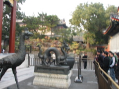 IMG_0539.JPG