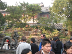IMG_0541.JPG