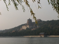 IMG_0546.JPG