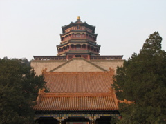 IMG_0553.JPG
