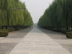IMG_0574.JPG