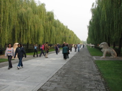 IMG_0575.JPG