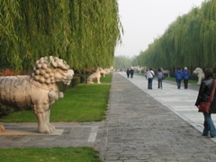 IMG_0577.JPG