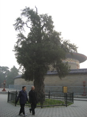 IMG_0638.JPG