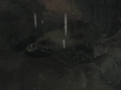 IMG_0672.JPG