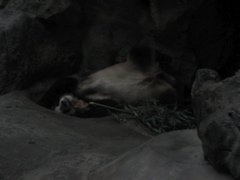 IMG_0673.JPG