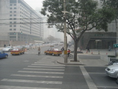 IMG_0684.JPG