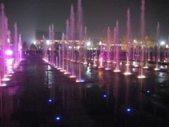 IMG_0710.JPG