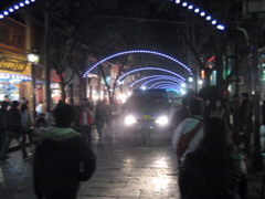 IMG_0728.JPG