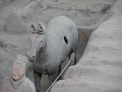 IMG_0748.JPG