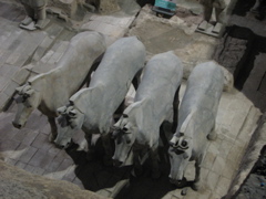 IMG_0774.JPG