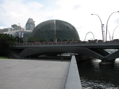 IMG_0441.JPG