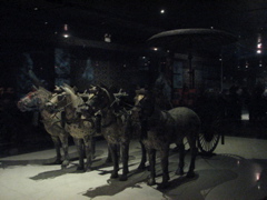 IMG_0784.JPG