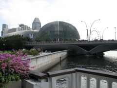 IMG_0442.JPG