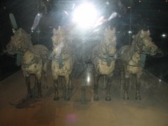IMG_0787.JPG
