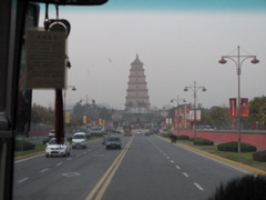 IMG_0795.JPG