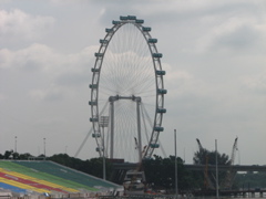 IMG_0443.JPG