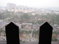 IMG_0807.JPG