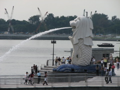 IMG_0445.JPG