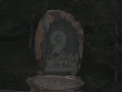 IMG_0821.JPG