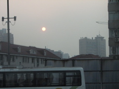 IMG_0871.JPG