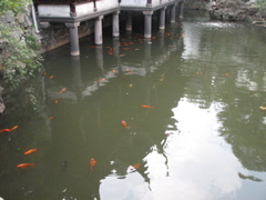 IMG_0927.JPG