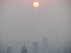 IMG_0991.JPG