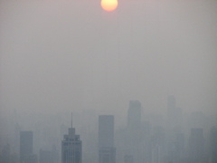 IMG_0992.JPG