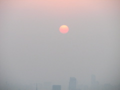 IMG_0994.JPG