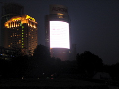IMG_1005.JPG
