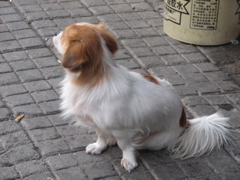 IMG_0018.JPG