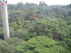 IMG_0415.JPG