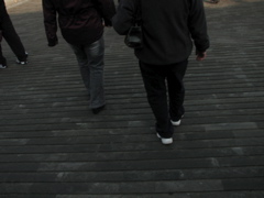 IMG_0505.JPG
