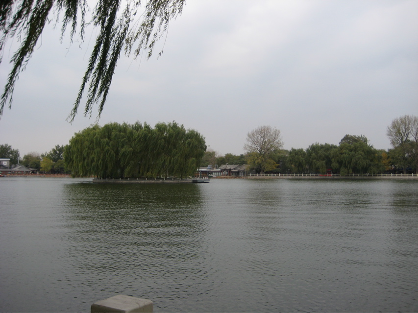 IMG_0471.JPG
