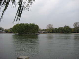 IMG_0471.JPG