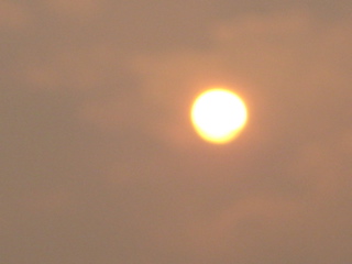 IMG_0284.JPG